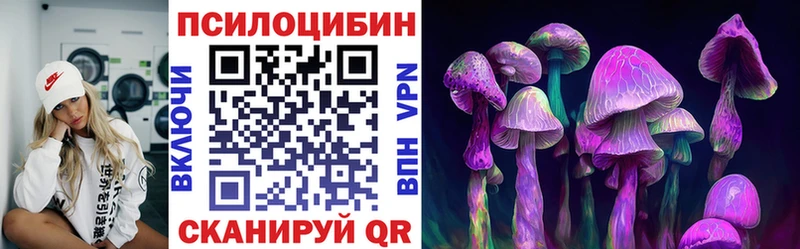 Псилоцибиновые грибы MAGIC MUSHROOMS  где можно купить наркотик  Рошаль 